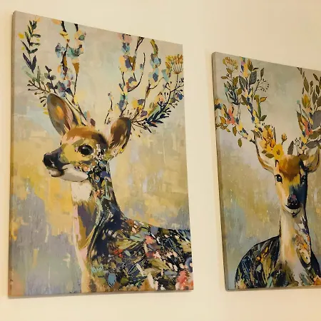 Apartament Harmonica Premium