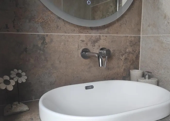 Harmonica Premium 新松奇