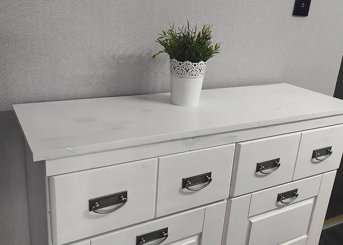 Harmonica Premium 新松奇