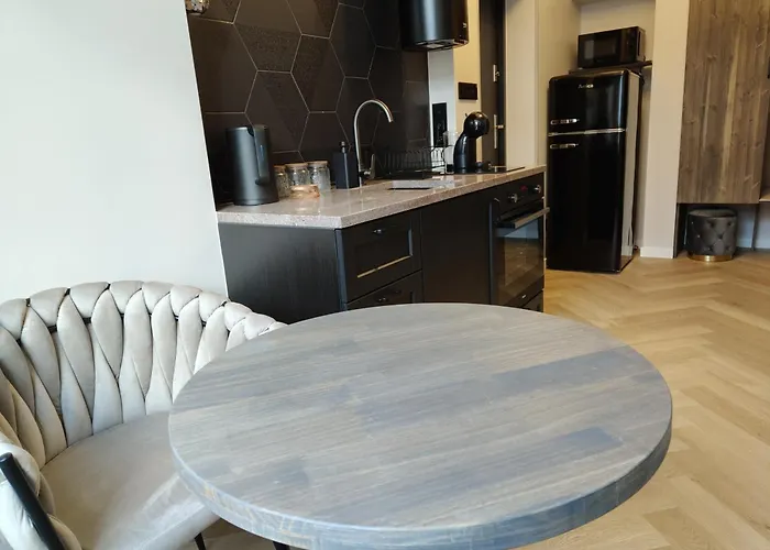 公寓 Harmonica Premium *