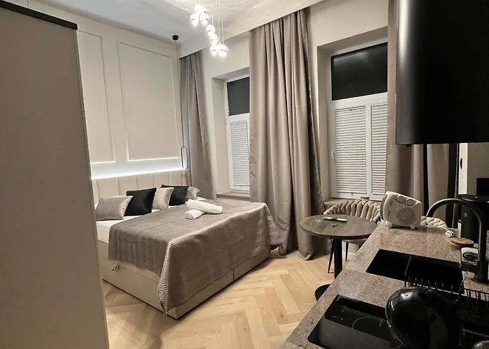 公寓 Harmonica Premium *